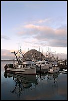 Fishing fleet and Morro Rock, sunrise. Morro Bay, USA