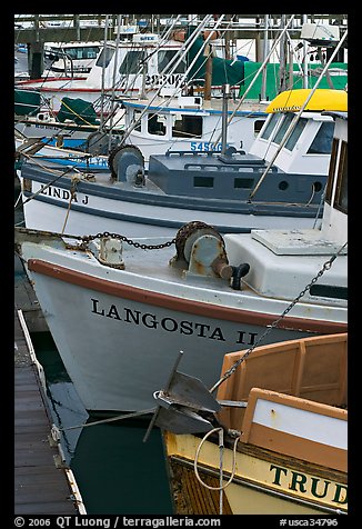 Close-up of colorful fishing boats. Morro Bay, USA (color)