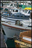 Close-up of colorful fishing boats. Morro Bay, USA ( color)