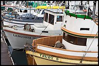 Close-up of colorful fishing boats. Morro Bay, USA