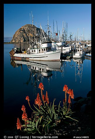 Flowers, fishing boats,and Morro Rock, morning. Morro Bay, USA (color)