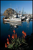 Flowers, fishing boats,and Morro Rock, morning. Morro Bay, USA