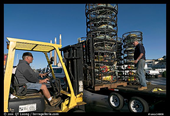 Men loading crab traps onto a truck. Morro Bay, USA