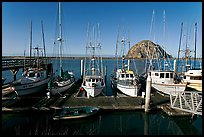 Harbor and Morro Rock, morning. Morro Bay, USA