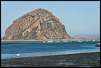 Yachts and Morro Rock. Morro Bay, USA (color)