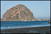 Yachts and Morro Rock. Morro Bay, USA