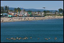 Pelicans, beach, and amusement park. Santa Cruz, California, USA