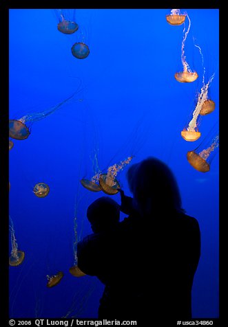 Woman holding child in front of jellyfish, Monterey Bay Aquarium. Monterey, California, USA (color)