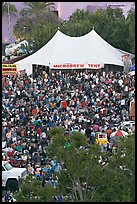 Dense crowd in  Guadalupe River Park, Independence Day. San Jose, California, USA ( color)