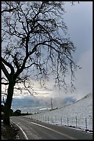 Mount Hamilton road winding on fresh snow covered hills. San Jose, California, USA