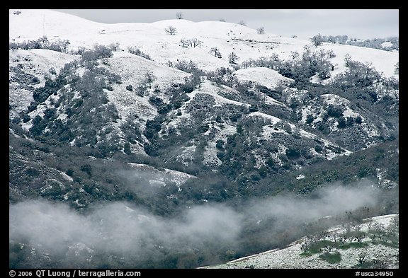 Snow and fog on Mount Hamilton Range. San Jose, California, USA