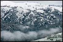 Snow and fog on Mount Hamilton Range. San Jose, California, USA