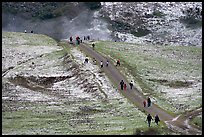 Trail in Joseph Grant Park after a rare snowfall. San Jose, California, USA (color)