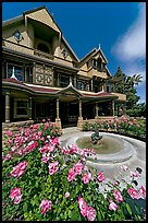 Roses and facade. Winchester Mystery House, San Jose, California, USA ( color)