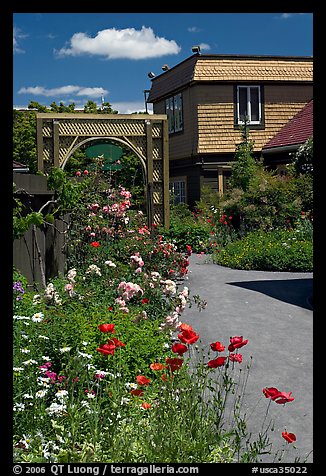 Flowers in backyard. Winchester Mystery House, San Jose, California, USA