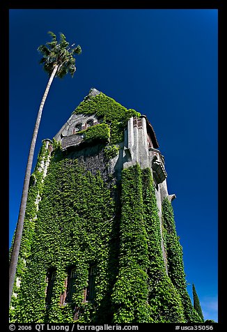 Ivy-covered Tower Hall, San Jose State University. San Jose, California, USA