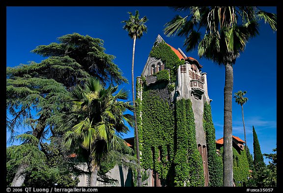 Tower Hall and trees, San Jose State University. San Jose, California, USA (color)