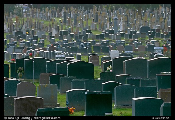 Headstones, Colma. California, USA (color)