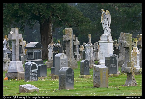 Variety of headstones, Colma. California, USA