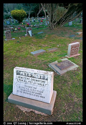 Pet cemetery, Colma. California, USA (color)