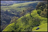 Couple sitting on hillside in early spring, Sunol Regional Park. California, USA