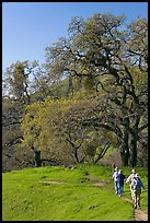 Group of hikers on faint trail, Sunol Regional Park. California, USA (color)