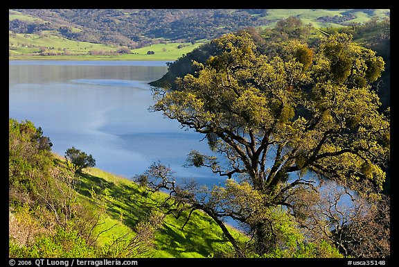 Calaveras Reservoir in spring. California, USA (color)