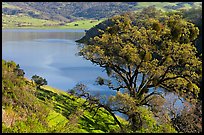 Calaveras Reservoir in spring. California, USA ( color)