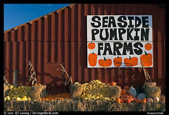 Seaside pumpkins farms sign on red barn. California, USA