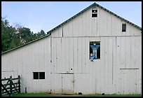 Barn with figures in window and cats, Happy Hollow Farm, Rancho San Antonio Park, Los Altos. California, USA (color)