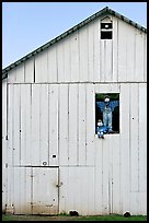 Figures in barn window and cats, Rancho San Antonio Preserve, Los Altos. California, USA (color)