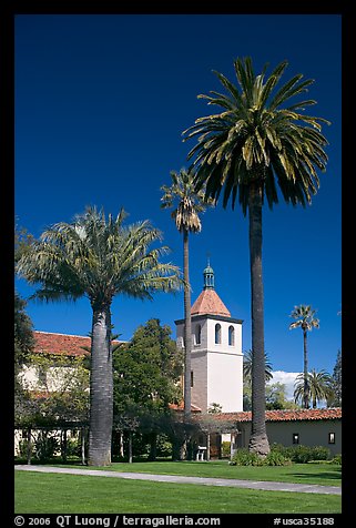 Palm trees and mission, Santa Clara University. Santa Clara,  California, USA (color)