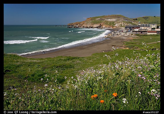 Rockaway Beach and wildflowers, Pacifica. San Mateo County, California, USA (color)