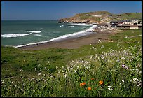 Rockaway Beach and wildflowers, Pacifica. San Mateo County, California, USA ( color)