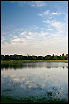 Lake Lagunata and Hoover tower in the spring. Stanford University, California, USA