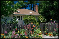 House with flowers in front yard. Menlo Park,  California, USA