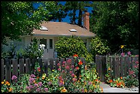 House with flowers in front yard. Menlo Park,  California, USA (color)