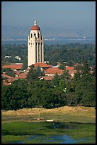 Hoover Tower, Campus, and Lake Lagunata, afternoon. Stanford University, California, USA (color)