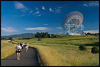 People running in the Stanford Dish area. Stanford University, California, USA