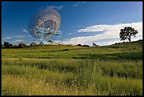 150 ft parabolic antenna known as the Dish, and tree. Stanford University, California, USA