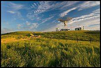 Grasses, fence, and parabolic antenna. Stanford University, California, USA (color)