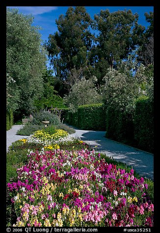 Alley with flowers, Allied Arts Guild. Menlo Park,  California, USA (color)