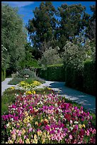 Alley with flowers, Allied Arts Guild. Menlo Park,  California, USA ( color)