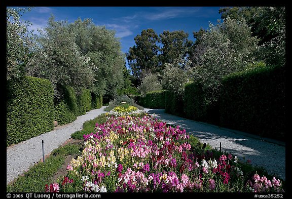 Flowers in alley, Allied Arts Guild. Menlo Park,  California, USA (color)