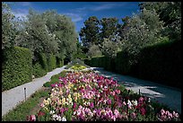 Flowers in alley, Allied Arts Guild. Menlo Park,  California, USA (color)