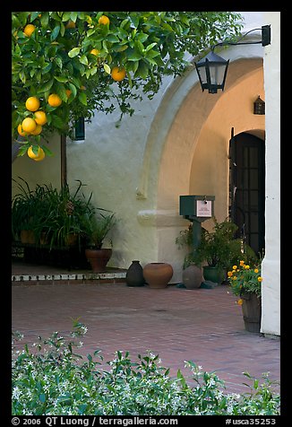 Orange tree and arch, Allied Arts Guild. Menlo Park,  California, USA