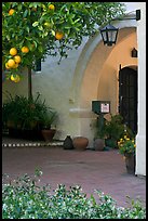 Orange tree and arch, Allied Arts Guild. Menlo Park,  California, USA (color)