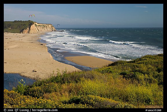 Beach with waves and kites, Scott Creek Beach. SF Bay area, California, USA