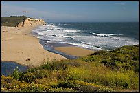 Beach with waves and kites, Scott Creek Beach. California, USA