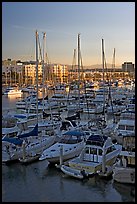 Yachts and marina at sunrise. Marina Del Rey, Los Angeles, California, USA (color)